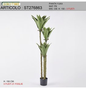 U0100276863-CM.H.150 ALBERO DI YUKA 3 FU      CF004